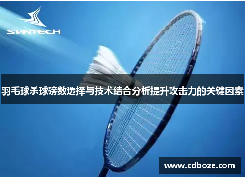 羽毛球杀球磅数选择与技术结合分析提升攻击力的关键因素