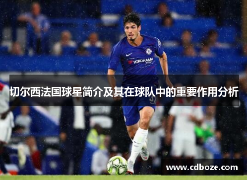切尔西法国球星简介及其在球队中的重要作用分析